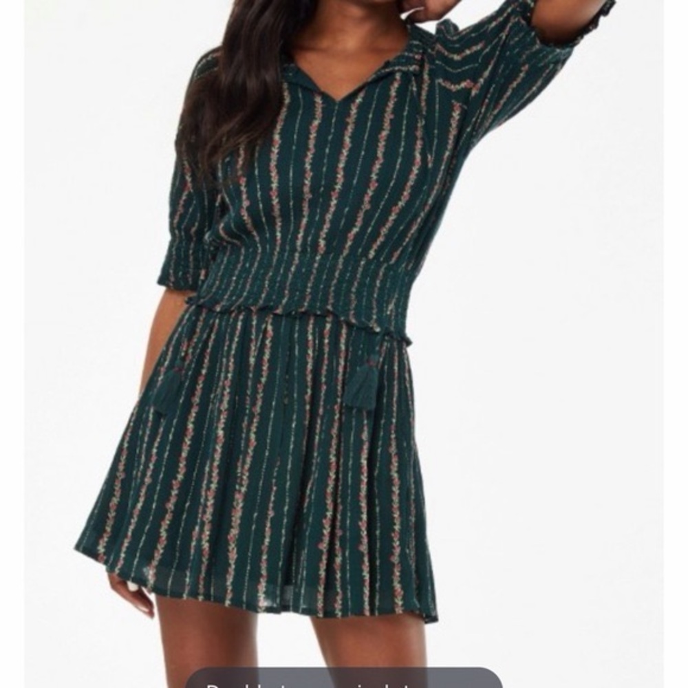 LIKE NEW - Roller Rabbit Mateaus Fiorella Dress in Green - Small - worn once